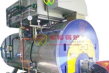 WNS series automatic water boiler condensing combi boiler